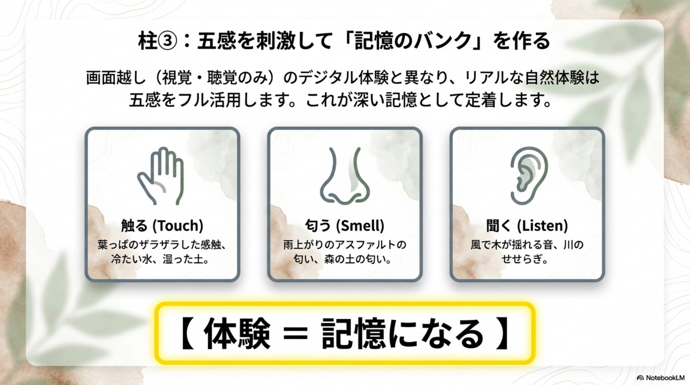 柱③：五感を刺激して「記憶のバンク」を作る。画面越し（視覚・聴覚のみ）のデジタル体験と異なり、リアルな自然体験は五感をフル活用します。これが深い記憶として定着します。触る（Touch）：葉っぱのザラザラした感触、冷たい水、湿った土。匂う（Smell）：雨上がりのアスファルトの匂い、森の土の匂い。聞く（Listen）：風で木が揺れる音、川のせせらぎ。【体験＝記憶になる】