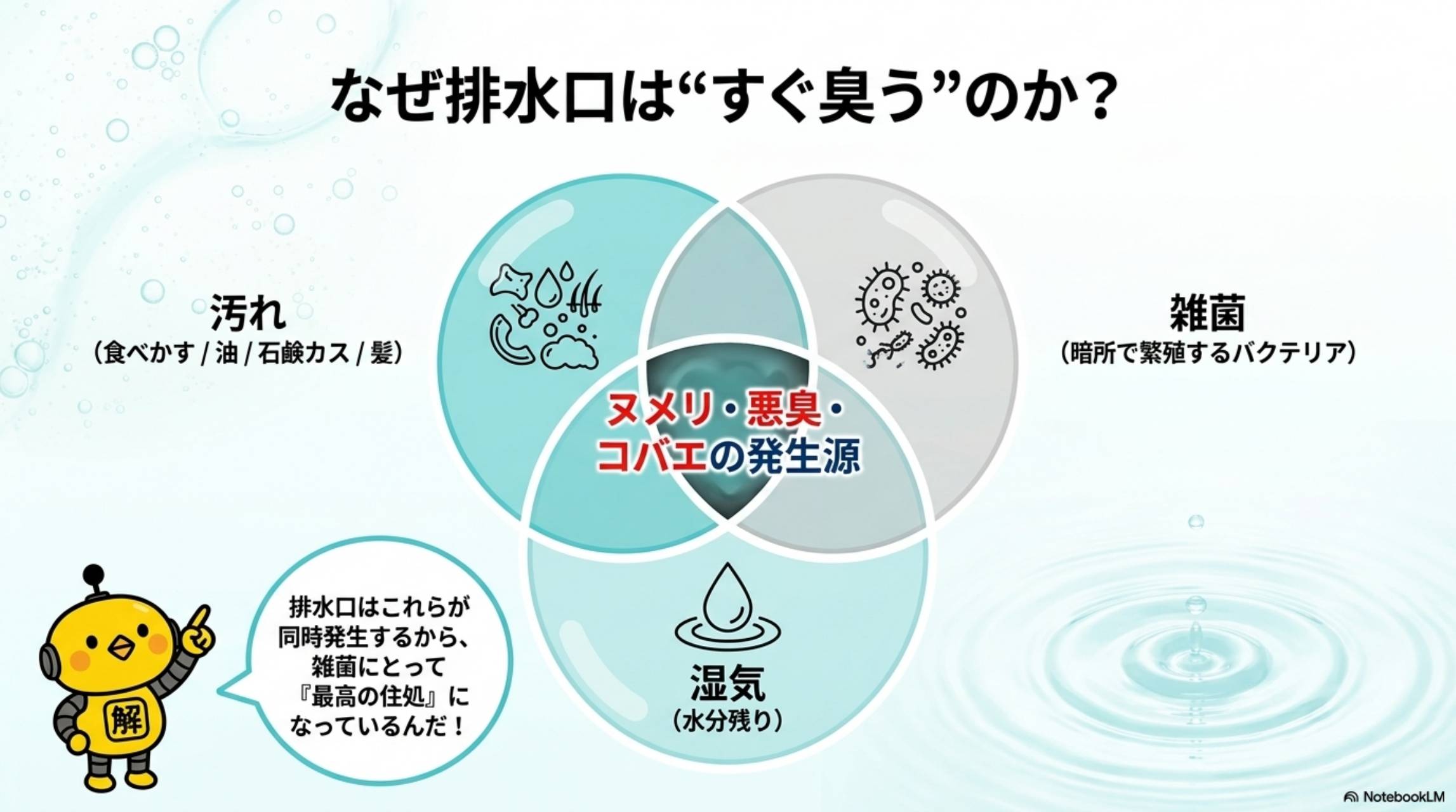 なぜ排水口はすぐ臭うのか 汚れ×雑菌×湿気 ヌメリ・悪臭・コバエの発生源