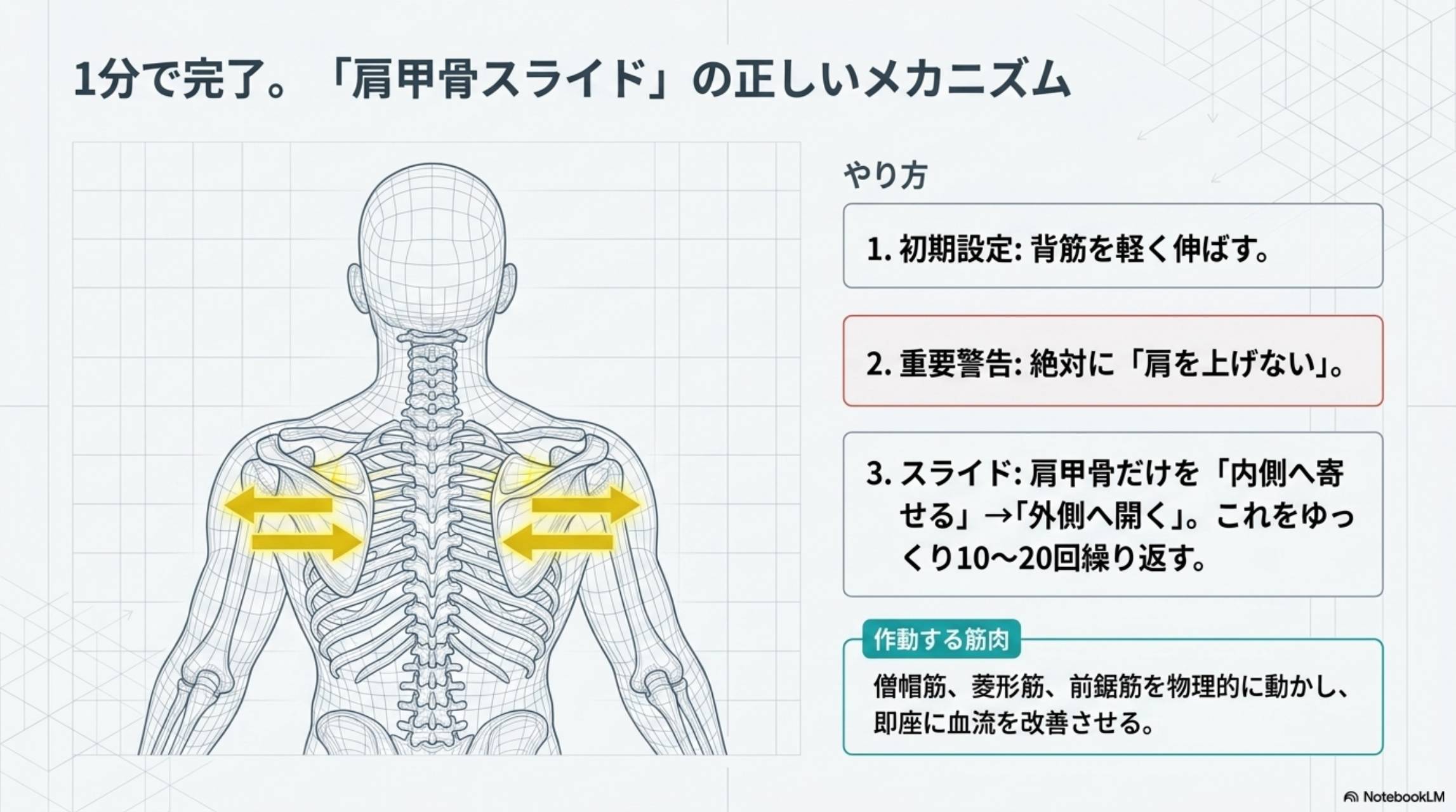 1分で完了 肩甲骨スライドの正しいメカニズム