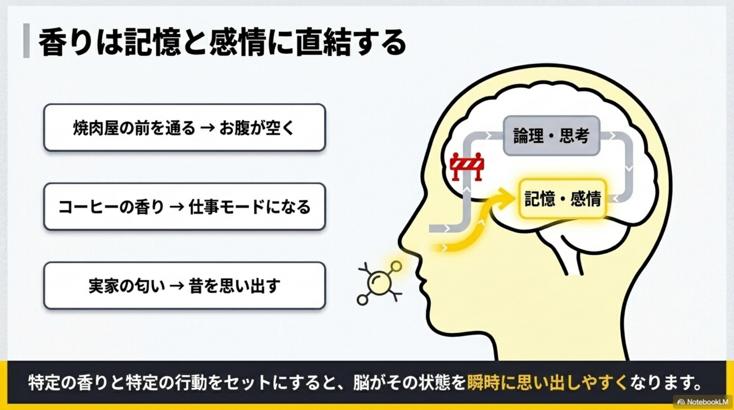 香りは記憶と感情に直結する。焼肉屋の前を通る→お腹が空く。コーヒーの香り→仕事モードになる。実家の匂い→昔を思い出す。嗅覚は論理・思考への経路に障壁があるが、記憶・感情へは直接つながっている。特定の香りと特定の行動をセットにすると、脳がその状態を瞬時に思い出しやすくなります。
