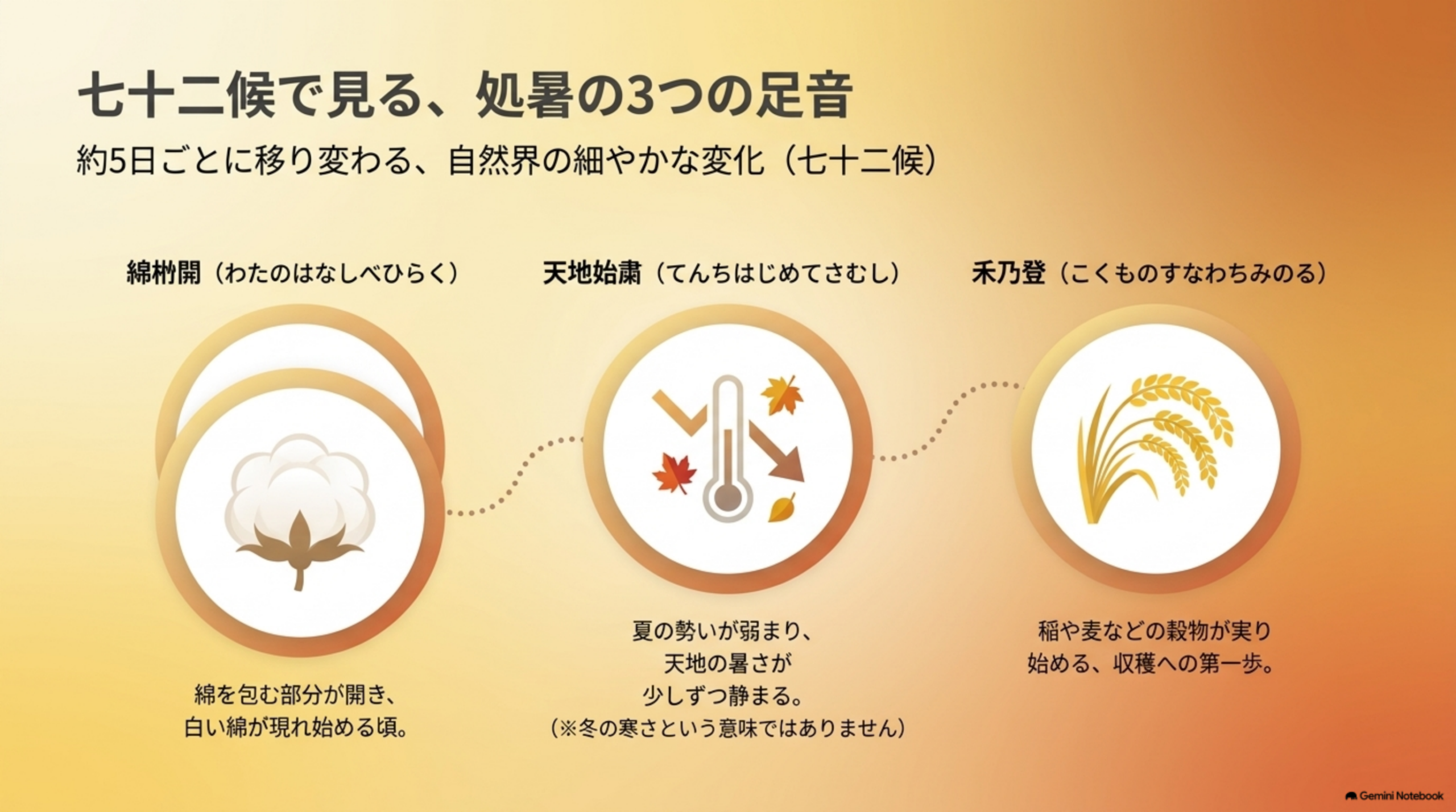 七十二候で見る、処暑の3つの足音。約5日ごとに移り変わる自然界の細やかな変化。綿柎開（わたのはなしべひらく）は綿を包む部分が開き白い綿が現れ始める頃。天地始粛（てんちはじめてさむし）は夏の勢いが弱まり天地の暑さが少しずつ静まる（冬の寒さという意味ではない）。禾乃登（こくものすなわちみのる）は稲や麦などの穀物が実り始める、収穫への第一歩