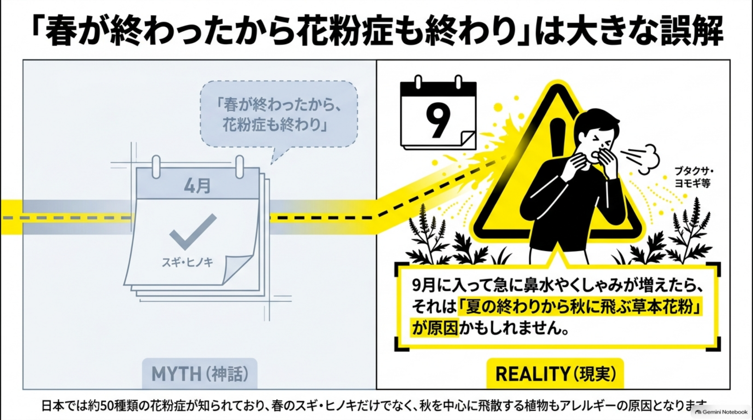 「春が終わったから花粉症も終わり」は大きな誤解という図解。左側MYTH（神話）として4月のカレンダーに「スギ・ヒノキ」のチェックと「春が終わったから、花粉症も終わり」という吹き出し、右側REALITY（現実）として9月のカレンダーとくしゃみをする人のイラスト、「9月に入って急に鼻水やくしゃみが増えたら、それは『夏の終わりから秋に飛ぶ草本花粉』が原因かもしれません」という説明。日本では約50種類の花粉症が知られており、春のスギ・ヒノキだけでなく、秋を中心に飛散する植物もアレルギーの原因となります、という結び