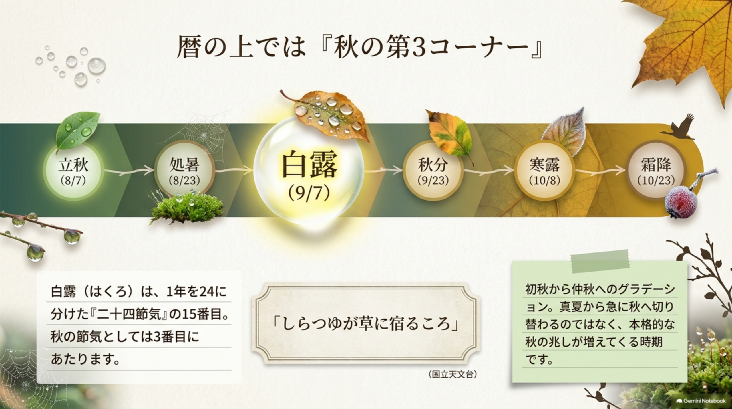 暦の上では『秋の第3コーナー』。立秋(8/7)→処暑(8/23)→白露(9/7)→秋分(9/23)→寒露(10/8)→霜降(10/23)の順に並ぶ帯グラフ、白露が中央でハイライトされている。白露(はくろ)は1年を24に分けた『二十四節気』の15番目、秋の節気としては3番目にあたる。「しらつゆが草に宿るころ」(国立天文台)。初秋から仲秋へのグラデーション、真夏から急に秋へ切り替わるのではなく本格的な秋の兆しが増えてくる時期という注記