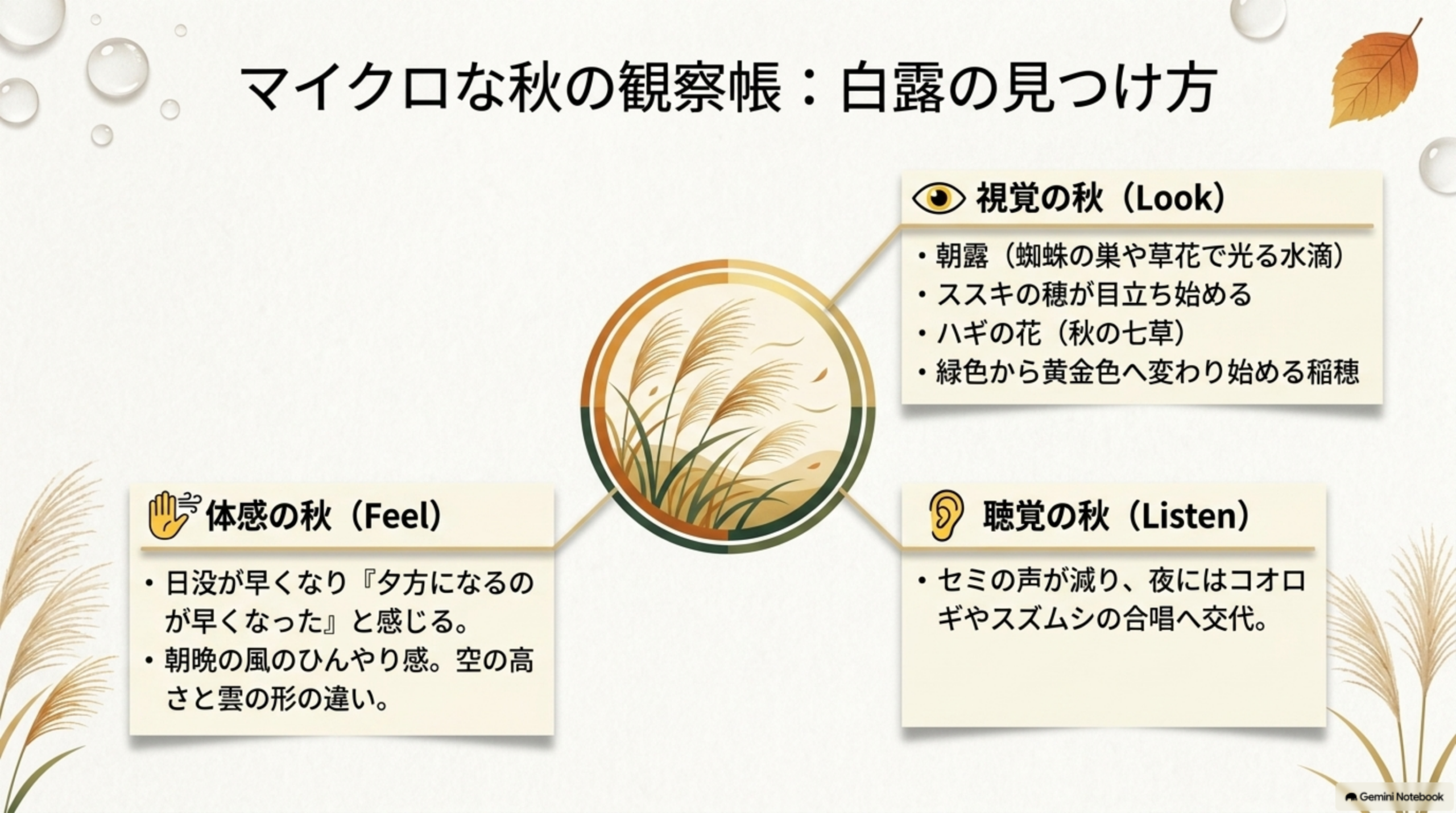 マイクロな秋の観察帳：白露の見つけ方。視覚の秋(Look)：朝露(蜘蛛の巣や草花で光る水滴)・ススキの穂が目立ち始める・ハギの花(秋の七草)・緑色から黄金色へ変わり始める稲穂。体感の秋(Feel)：日没が早くなり『夕方になるのが早くなった』と感じる・朝晩の風のひんやり感、空の高さと雲の形の違い。聴覚の秋(Listen)：セミの声が減り、夜にはコオロギやスズムシの合唱へ交代、の3カテゴリ観察ガイド
