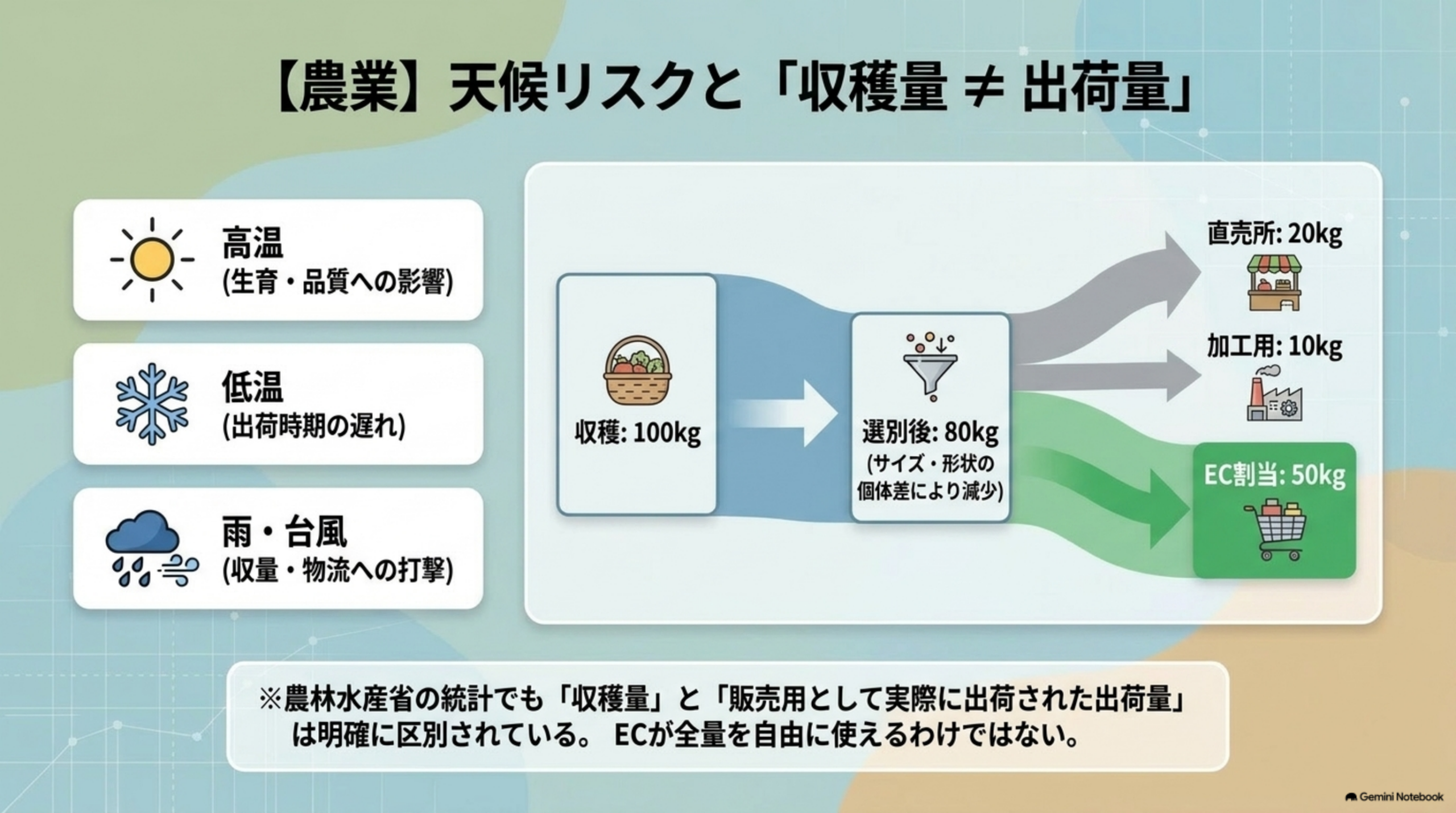 高温は生育・品質への影響、低温は出荷時期の遅れ、雨・台風は収量・物流への打撃という天候リスクと、収穫100kgが選別後80kgとなりサイズ・形状の個体差により減少し直売所20kg・加工用10kg・EC割当50kgへ分配されるという収穫量と出荷量が異なることを示す図