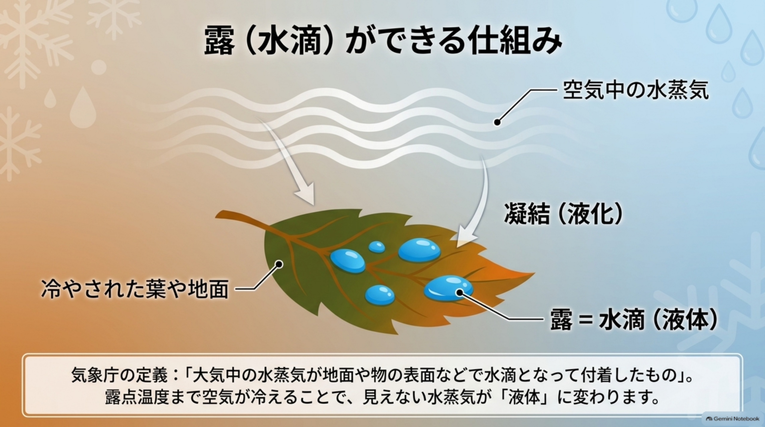 露（水滴）ができる仕組み。空気中の水蒸気が、冷やされた葉や地面の表面で凝結（液化）して露＝水滴（液体）になる。露点温度まで空気が冷えることで、見えない水蒸気が液体に変わる
