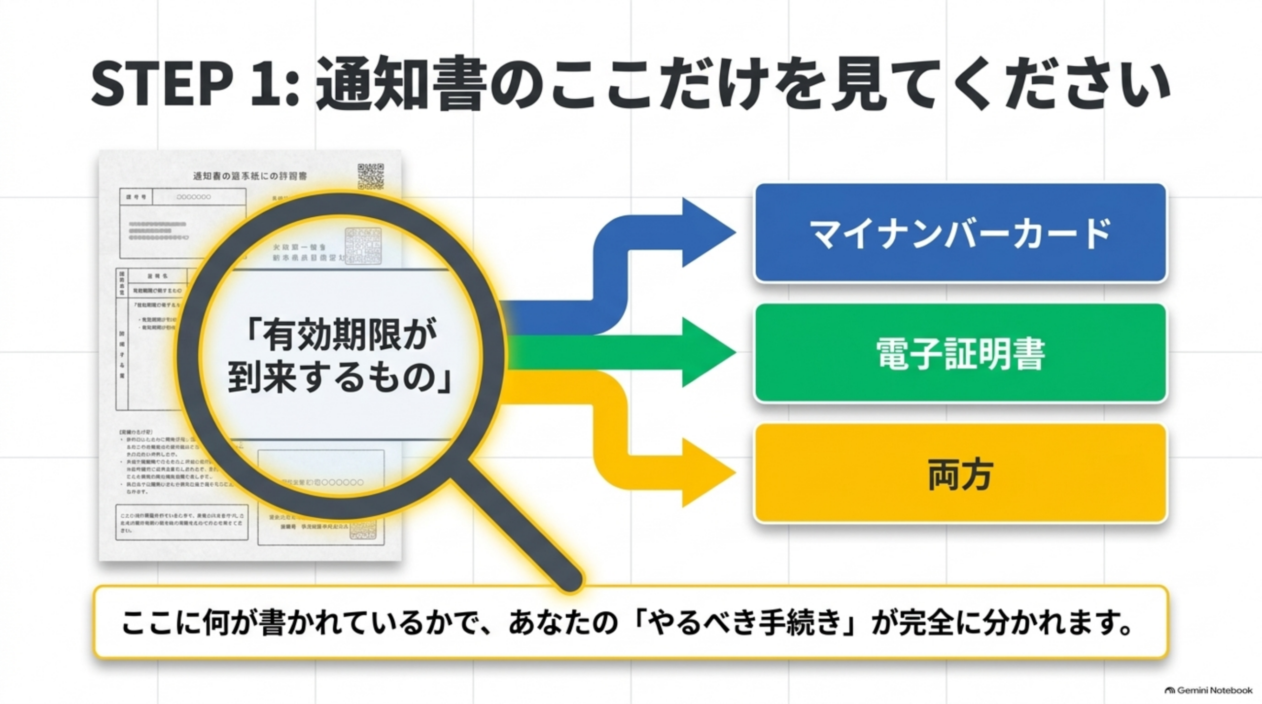 STEP1、通知書のここだけを見てくださいという図。有効期限通知書の「有効期限が到来するもの」の欄を虫眼鏡で見ると、マイナンバーカード・電子証明書・両方のいずれかが書かれている。ここに何が書かれているかで、やるべき手続きが完全に分かれます