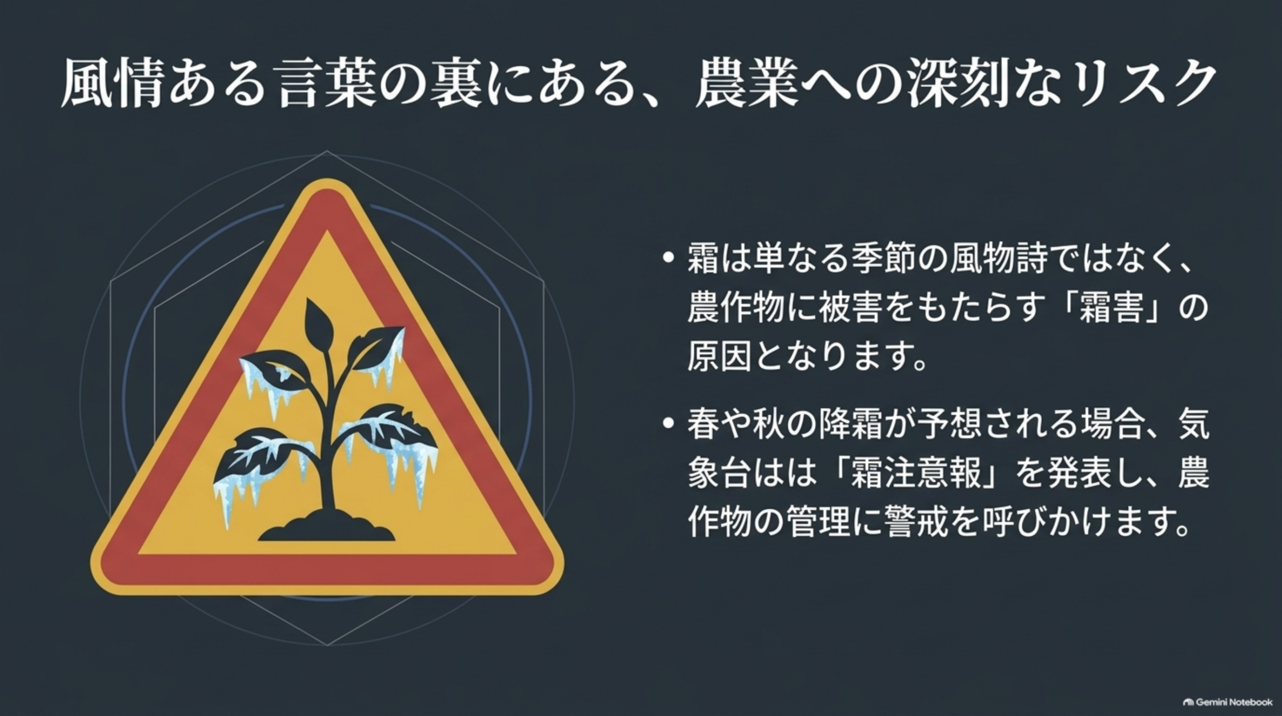 風情ある言葉の裏にある、農業へのリスク。霜は単なる季節の風物詩ではなく、農作物に被害をもたらす「霜害」の原因となります。春や秋の降霜が予想される場合、気象台は「霜注意報」を発表し、農作物の管理に警戒を呼びかけます